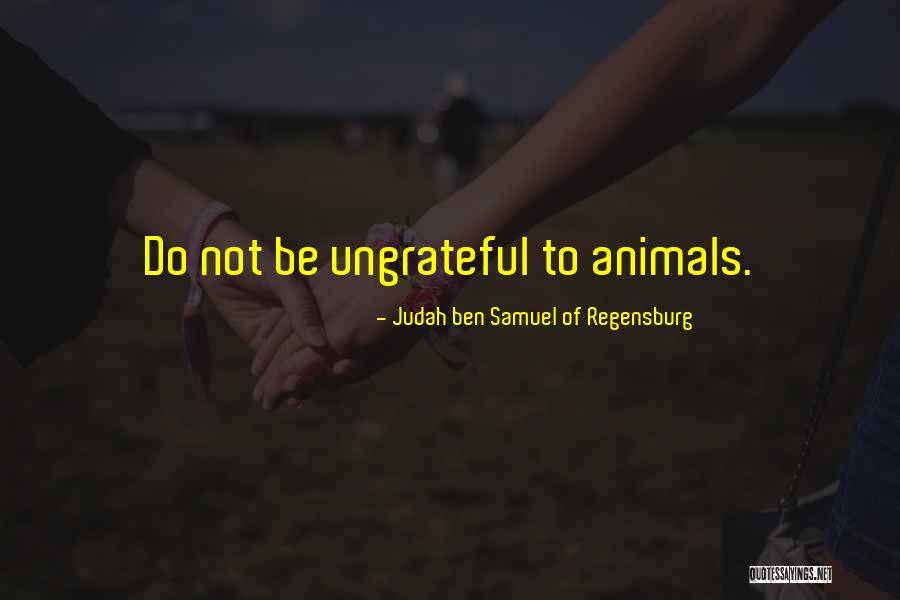 Bearskin Quotes By Judah Ben Samuel Of Regensburg Bearskin Quotes By Judah Ben Samuel Of Regensburg