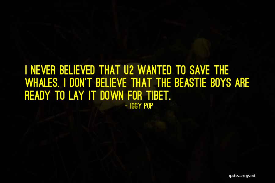 Beastie Quotes By Iggy Pop Beastie Quotes By Iggy Pop