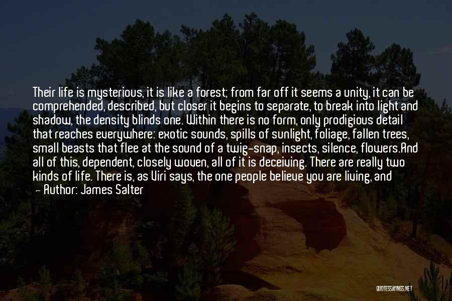 Beasts Quotes By James Salter