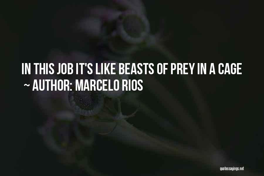 Beasts Quotes By Marcelo Rios