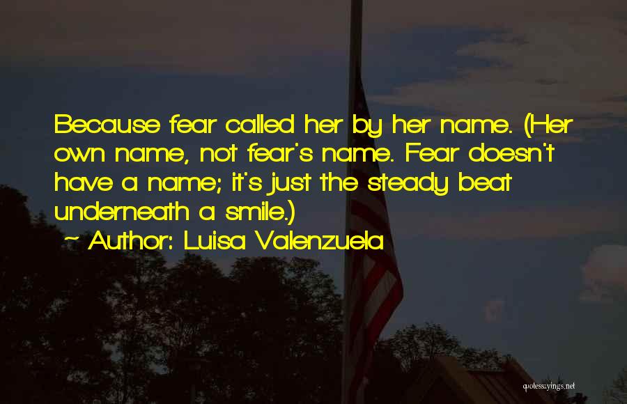 Beat The Fear Quotes By Luisa Valenzuela