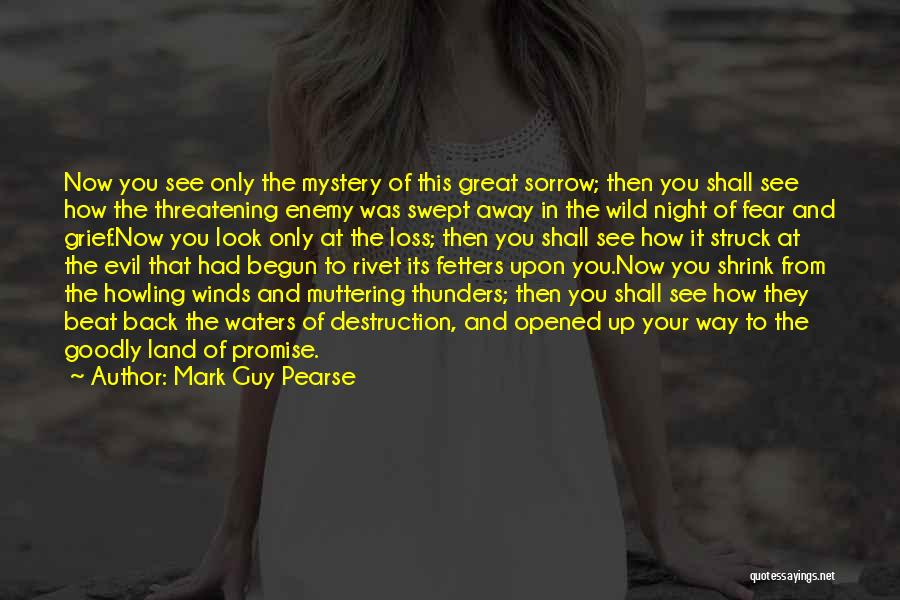 Beat The Fear Quotes By Mark Guy Pearse