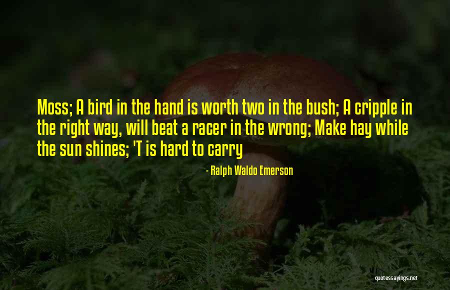 Beat The Sun Quotes By Ralph Waldo Emerson Beat The Sun Quotes By Ralph Waldo Emerson