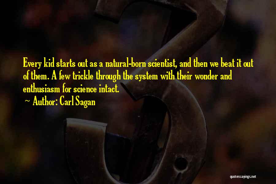 Beat The System Quotes By Carl Sagan