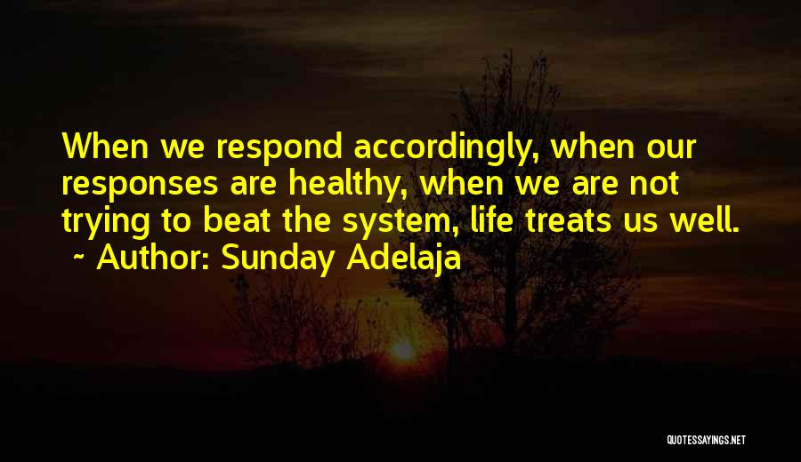 Beat The System Quotes By Sunday Adelaja