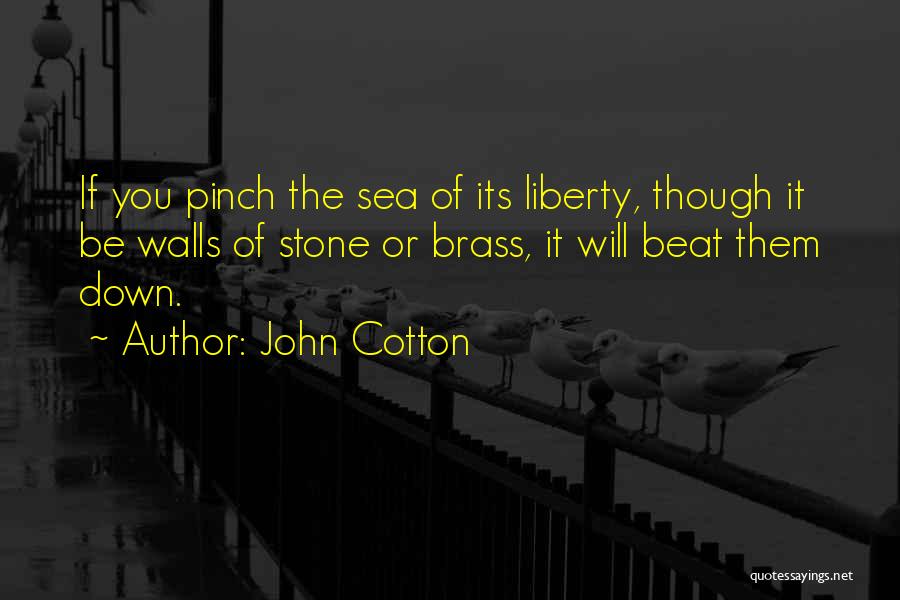 Beat Them Quotes By John Cotton