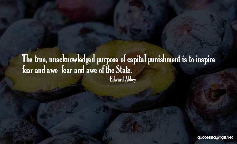 Beata Pawlikowska Quotes By Edward Abbey Beata Pawlikowska Quotes By Edward Abbey