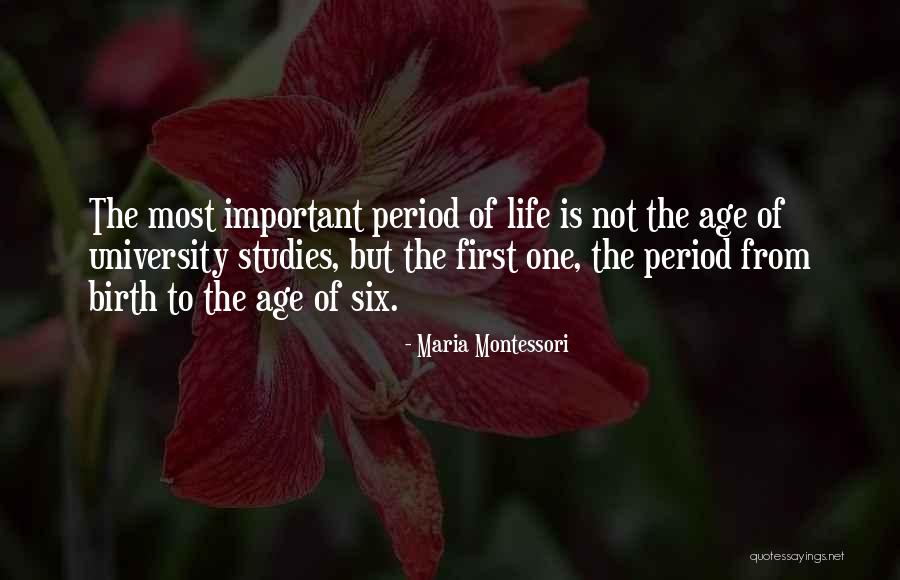 Beatemupswood Quotes By Maria Montessori Beatemupswood Quotes By Maria Montessori