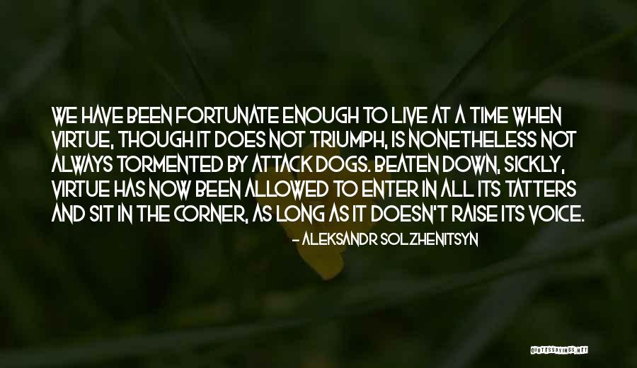 Beaten Dog Quotes By Aleksandr Solzhenitsyn Beaten Dog Quotes By Aleksandr Solzhenitsyn