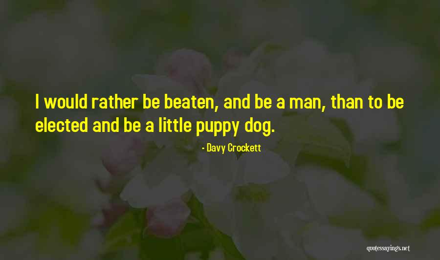 Beaten Dog Quotes By Davy Crockett