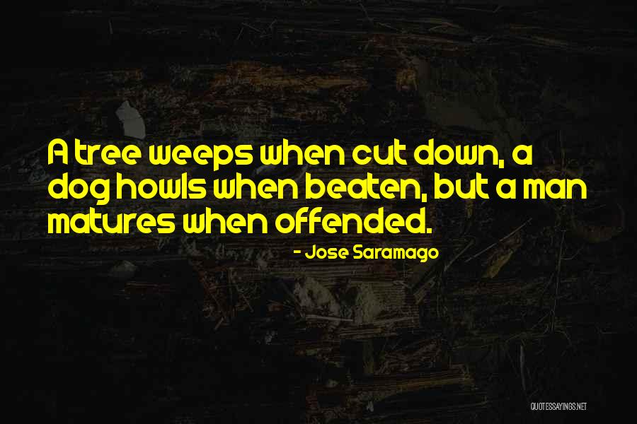 Beaten Dog Quotes By Jose Saramago