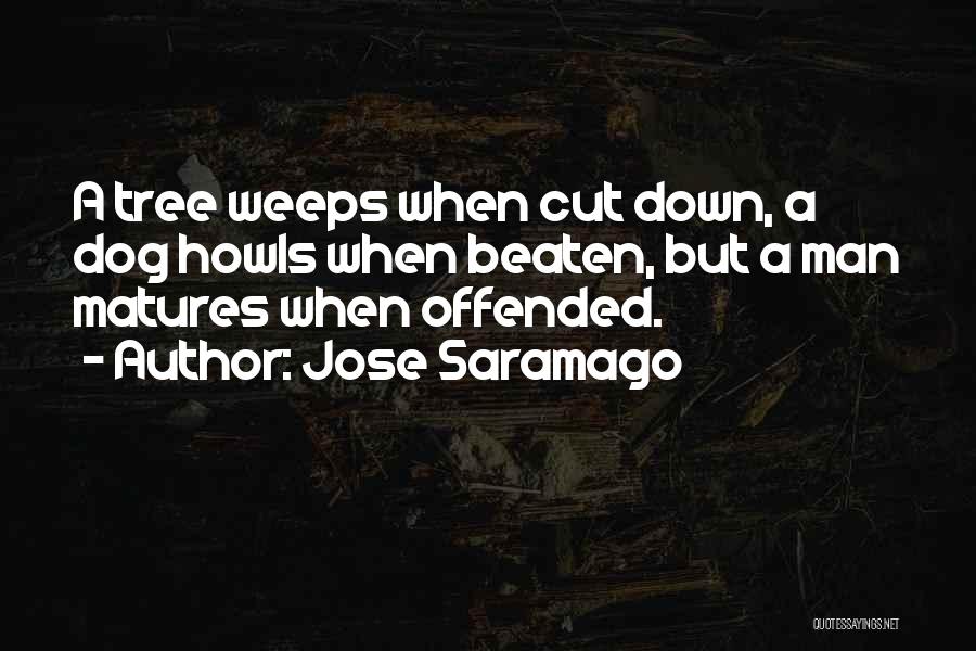 Beaten Down Quotes By Jose Saramago