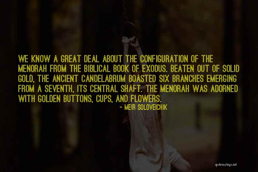 Beaten Gold Quotes By Meir Soloveichik Beaten Gold Quotes By Meir Soloveichik