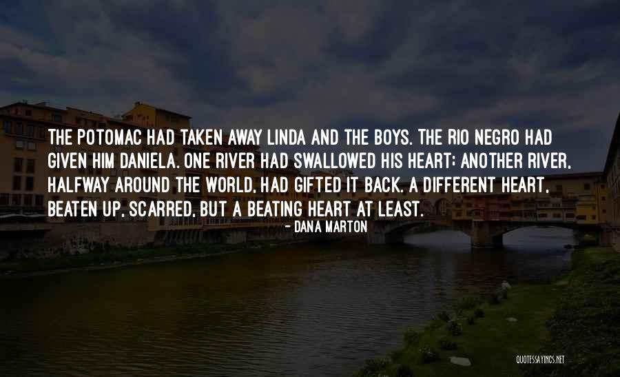 Beaten Up Quotes By Dana Marton Beaten Up Quotes By Dana Marton
