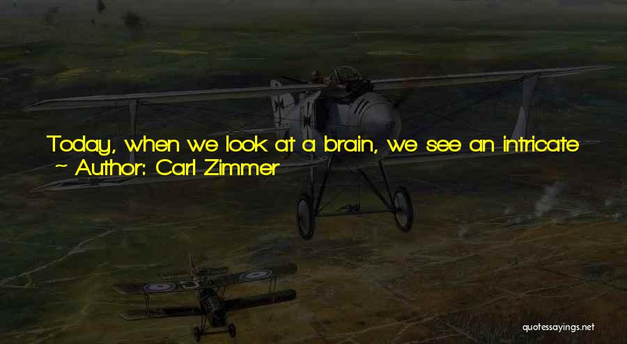 Beating Quotes By Carl Zimmer
