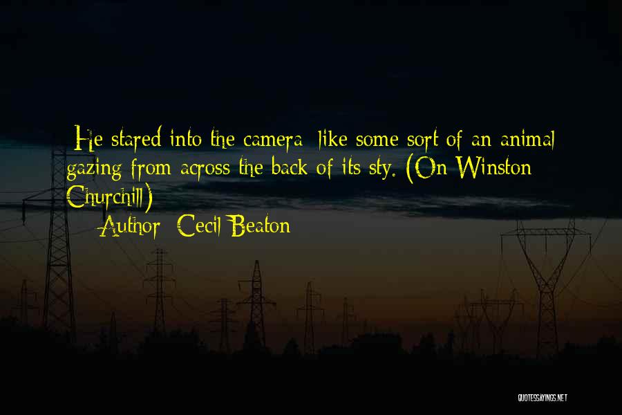 Beaton Quotes By Cecil Beaton