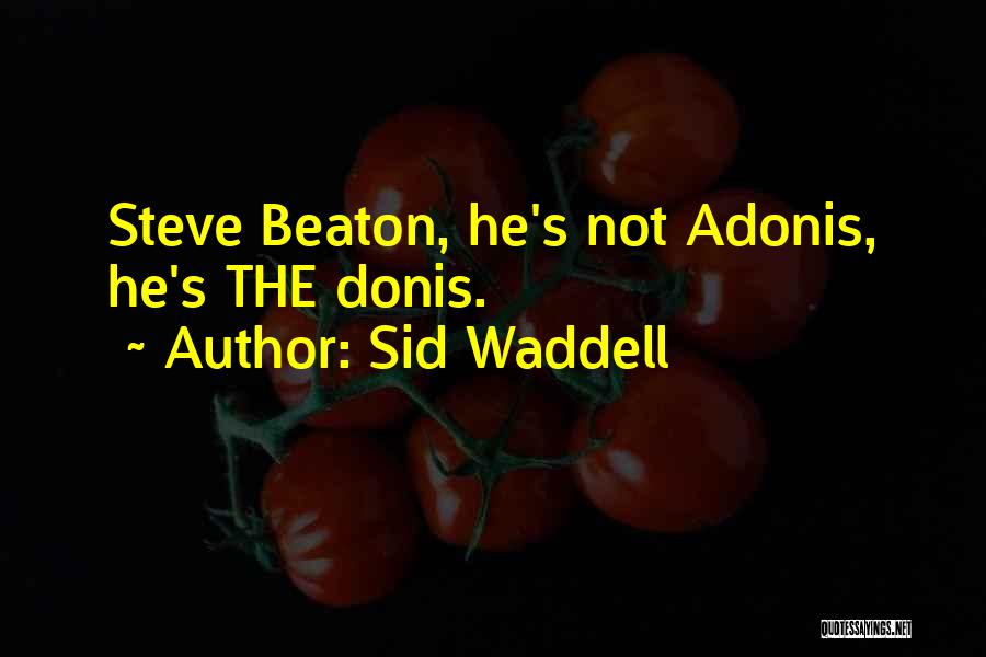 Beaton Quotes By Sid Waddell