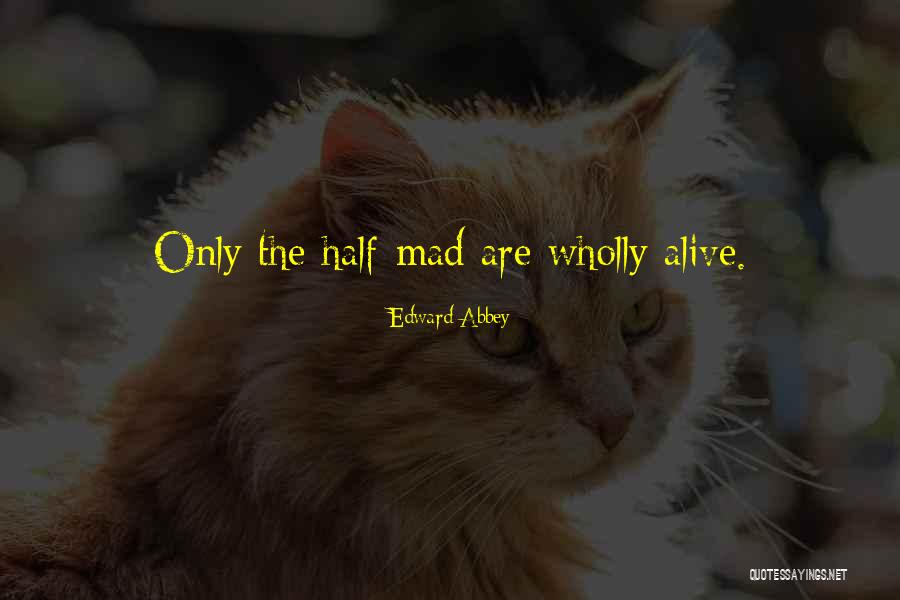Beatport Link Quotes By Edward Abbey Beatport Link Quotes By Edward Abbey