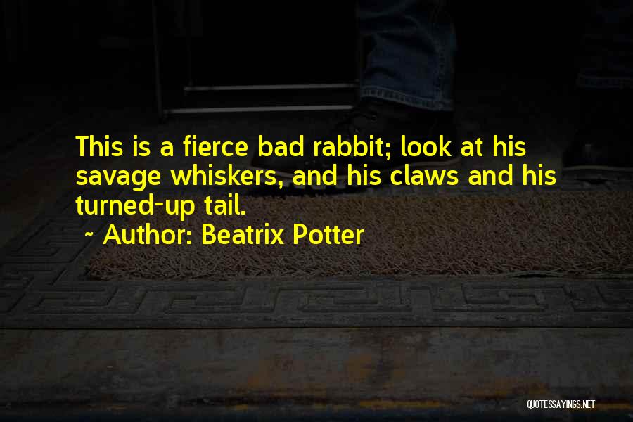 Beatrix Potter Quotes 2115313