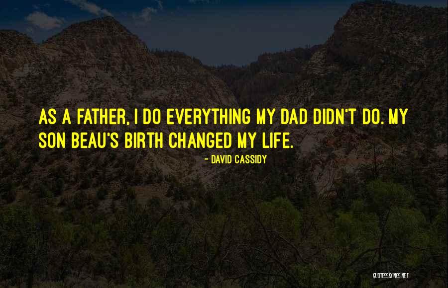 Beau Quotes By David Cassidy Beau Quotes By David Cassidy