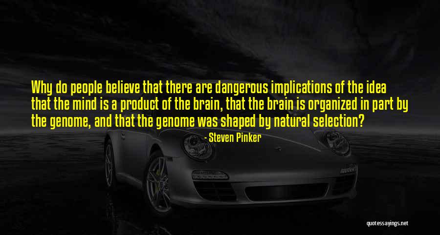 Beaubois Millwork Quotes By Steven Pinker Beaubois Millwork Quotes By Steven Pinker