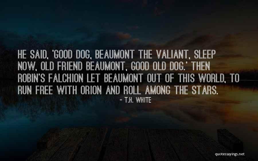 Beaumont Quotes By T.H. White