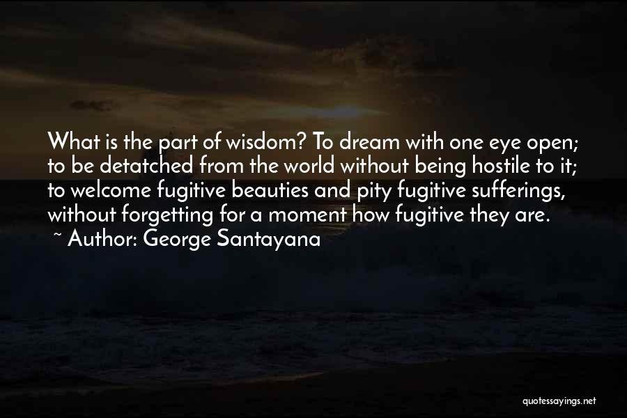 Beauties Quotes By George Santayana