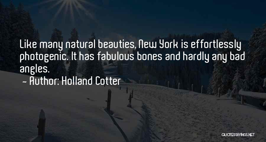 Beauties Quotes By Holland Cotter