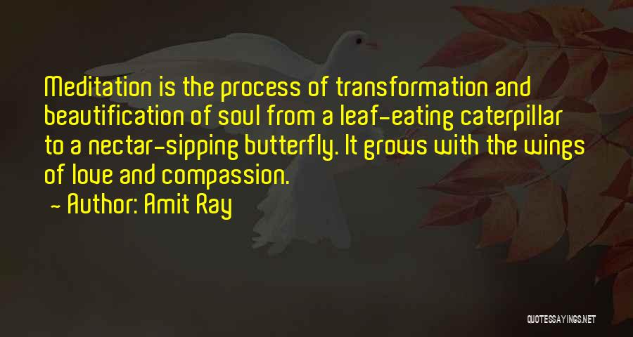 Beautification Quotes By Amit Ray