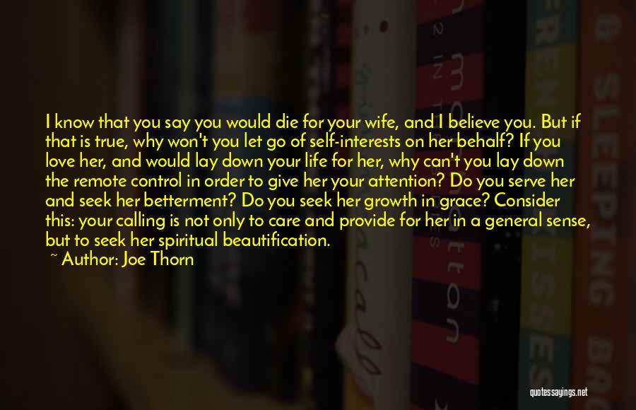 Beautification Quotes By Joe Thorn