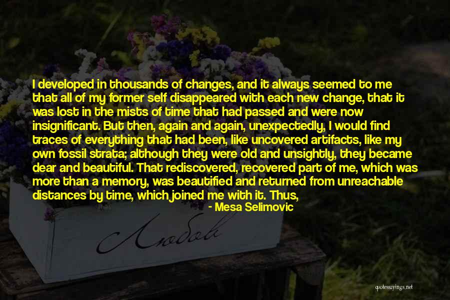 Beautified Quotes By Mesa Selimovic