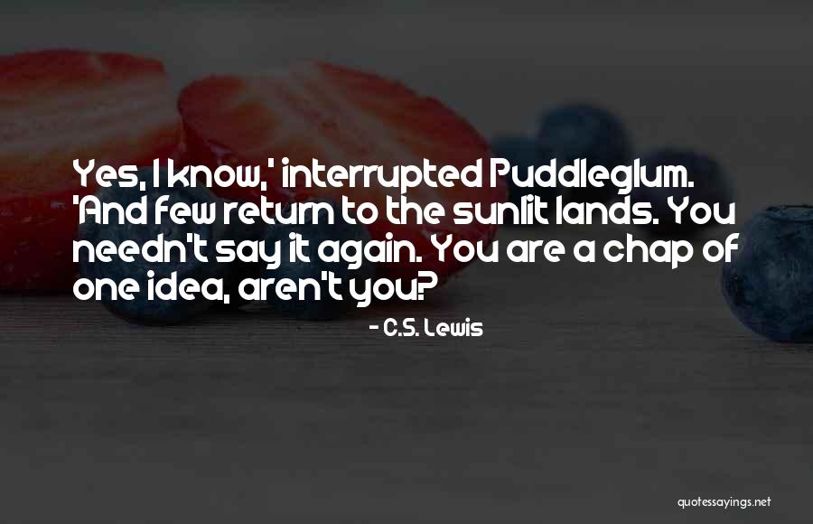 Beautiful Advaita Quotes By C.S. Lewis Beautiful Advaita Quotes By C.S. Lewis