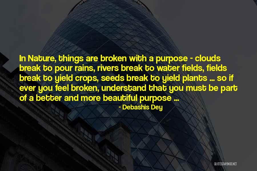 Beautiful And Broken Quotes By Debashis Dey Beautiful And Broken Quotes By Debashis Dey