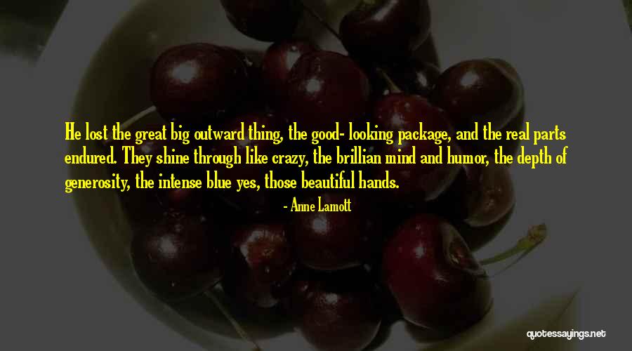 Beautiful And Crazy Quotes By Anne Lamott