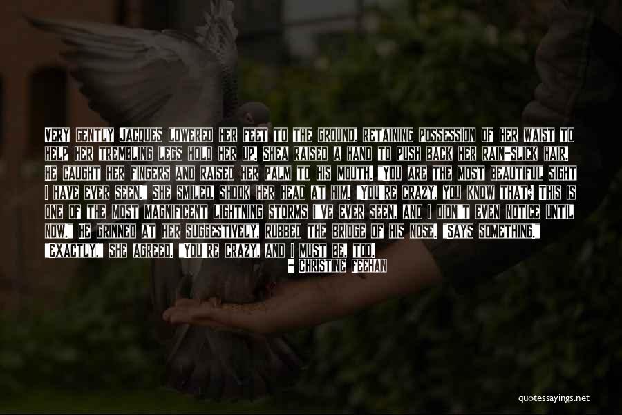 Beautiful And Crazy Quotes By Christine Feehan Beautiful And Crazy Quotes By Christine Feehan