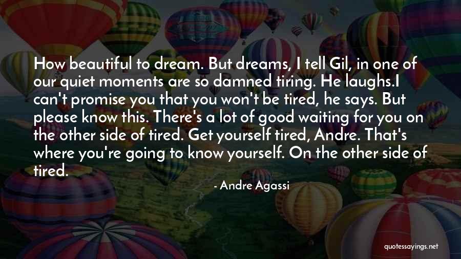 Beautiful And Damned Quotes By Andre Agassi