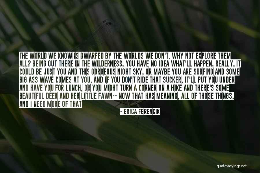 Beautiful And Meaning Quotes By Erica Ferencik