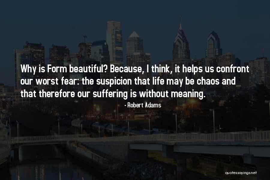 Beautiful And Meaning Quotes By Robert Adams