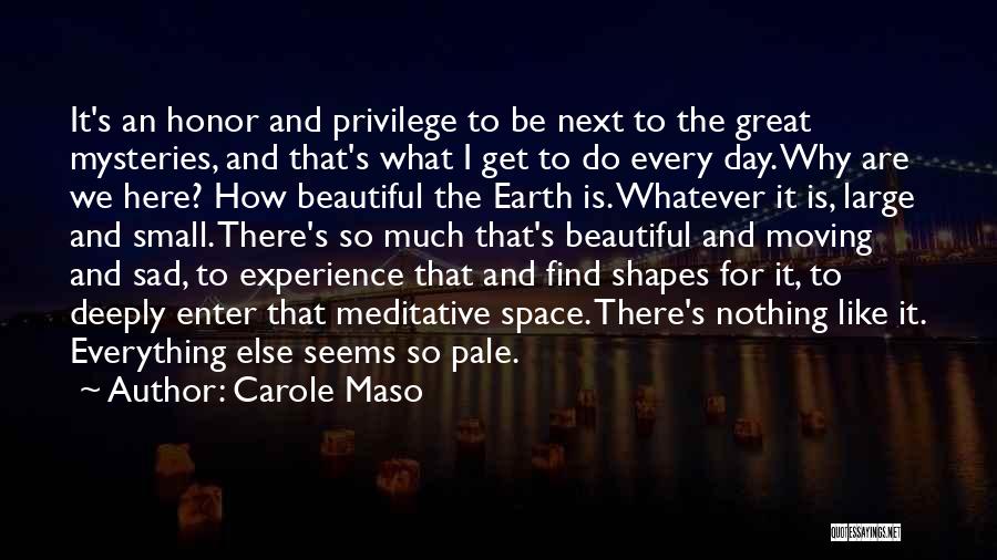 Beautiful And Sad Quotes By Carole Maso