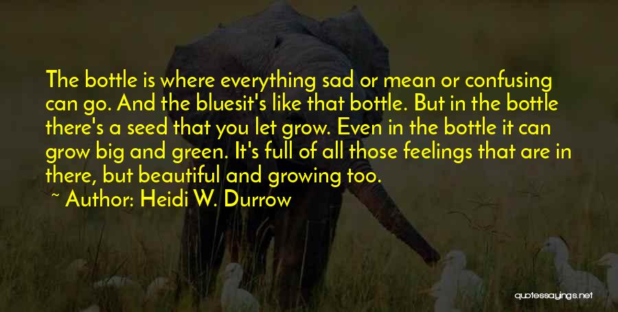 Beautiful And Sad Quotes By Heidi W. Durrow