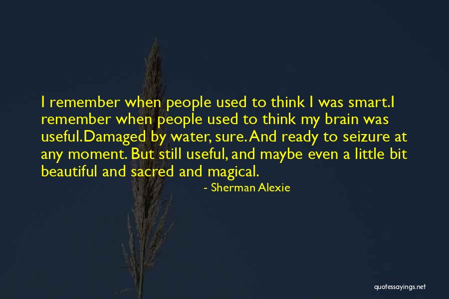 Beautiful And Smart Quotes By Sherman Alexie Beautiful And Smart Quotes By Sherman Alexie