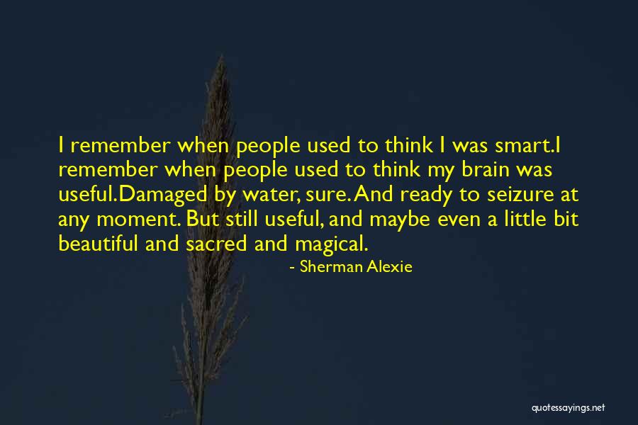 Beautiful And Smart Quotes By Sherman Alexie