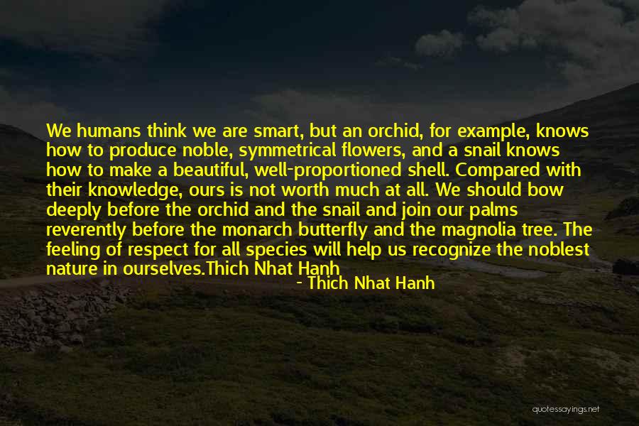Beautiful And Smart Quotes By Thich Nhat Hanh Beautiful And Smart Quotes By Thich Nhat Hanh
