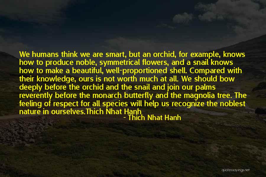 Beautiful And Smart Quotes By Thich Nhat Hanh