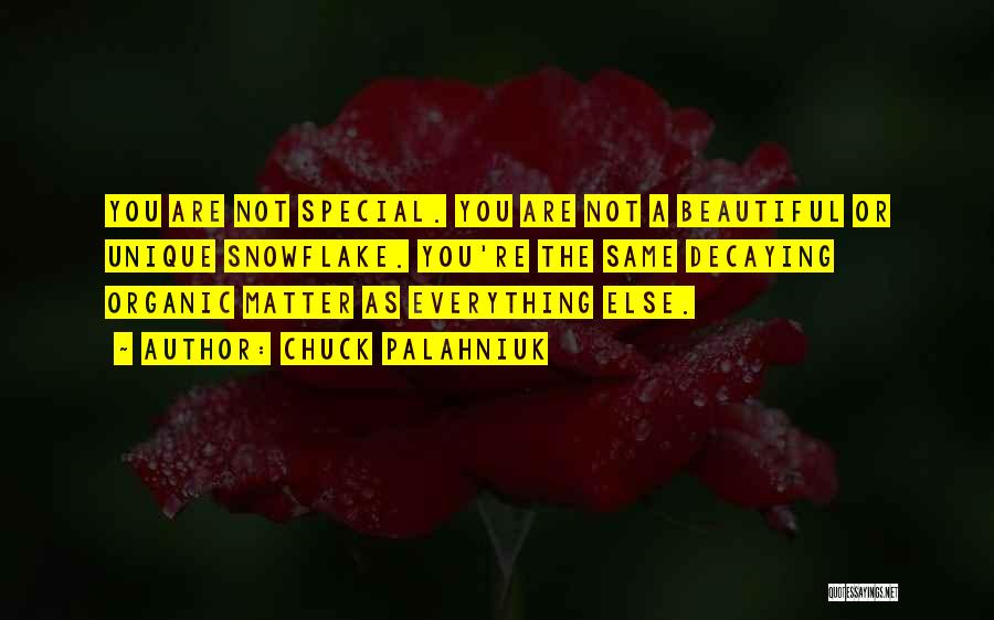 Beautiful As You Are Quotes By Chuck Palahniuk