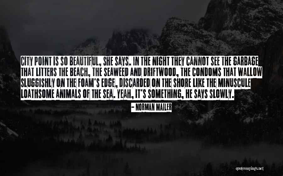 Beautiful Beach Quotes By Norman Mailer
