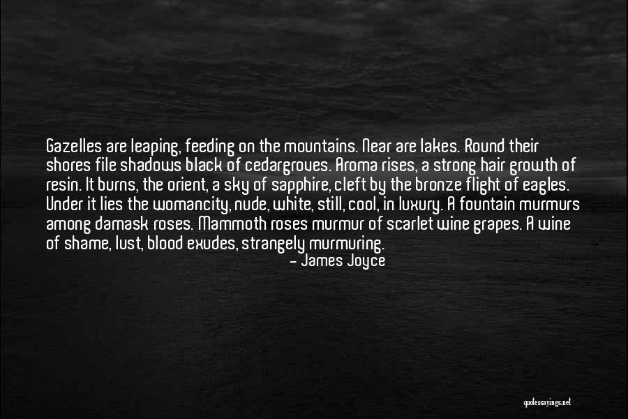 Beautiful Black White Quotes By James Joyce Beautiful Black White Quotes By James Joyce