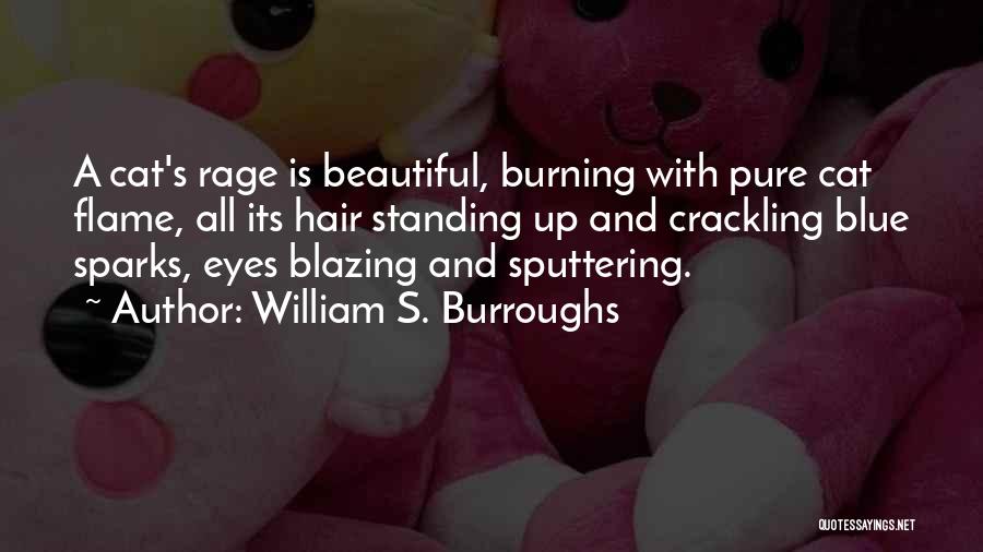 Beautiful Blue Eyes Quotes By William S. Burroughs