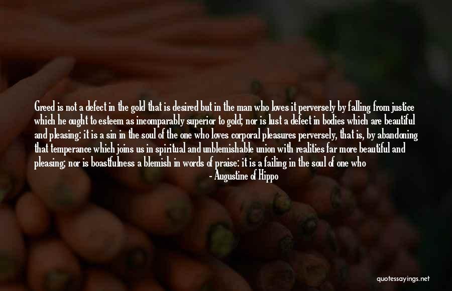 Beautiful Bodies Quotes By Augustine Of Hippo