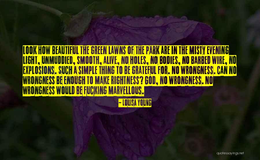 Beautiful Bodies Quotes By Louisa Young